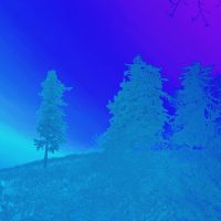 trees-script-4x
