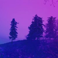 trees-script-2x