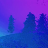 trees-script-3x
